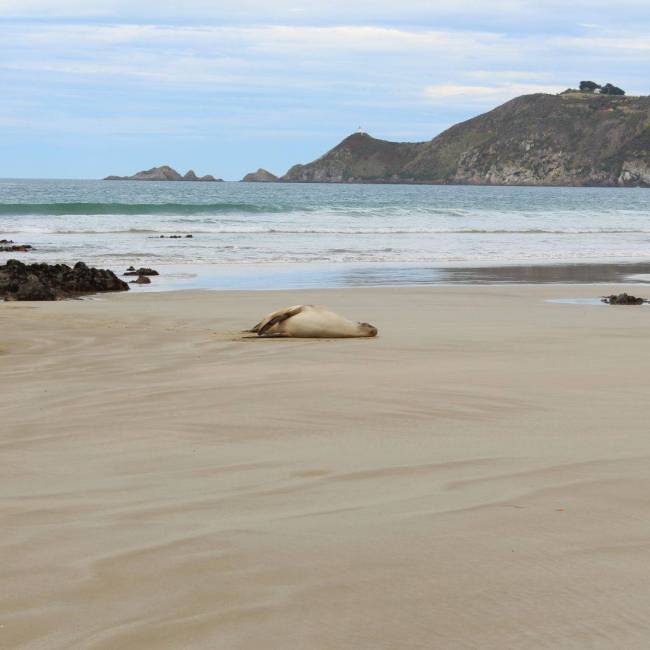 Be part of the solution