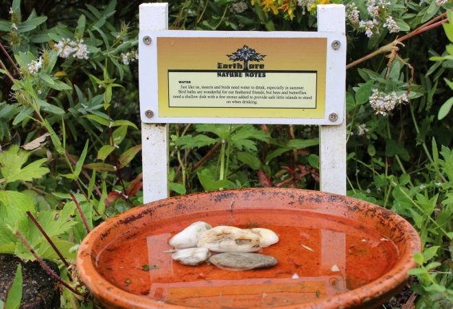 caring for wildlife blog